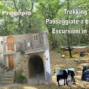 Affitta San Procopio Troina